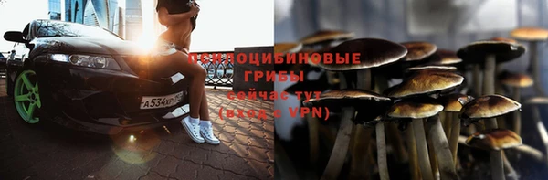 прущие грибы Сафоново