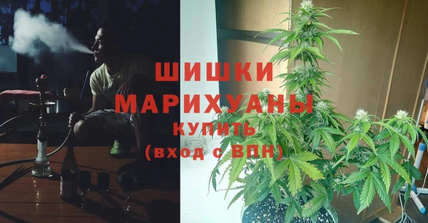 мескалин Богородицк
