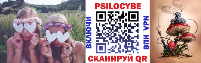 MEGA зеркало  Кузнецк  Псилоцибиновые грибы GOLDEN TEACHER 